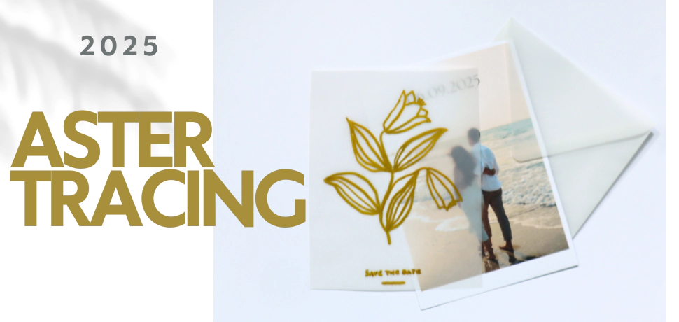 Neue Kollektion – Aster Tracing